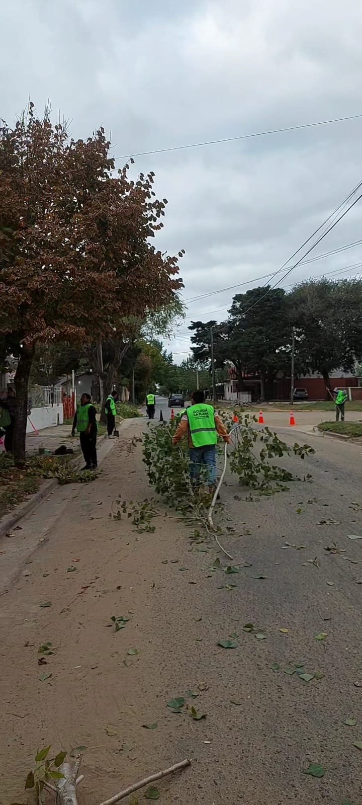 Se realizan trabajos de poda y mejoramiento de calles en la localidad de Mar de Ajó