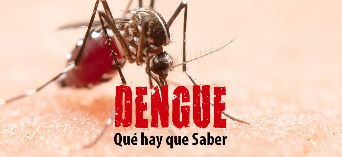 Dengue: La Costa promueve medidas de prevención contra el mosquito Aedes Aegypti