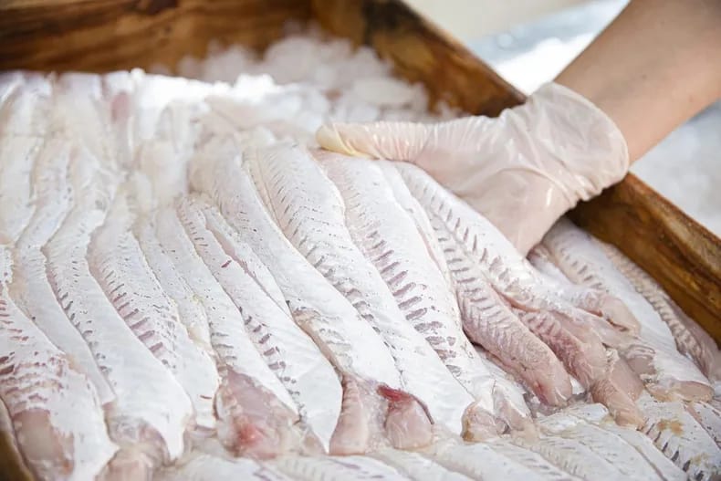 “Enamorate de lo nuestro”: dónde comprar pescado fresco en Semana Santa