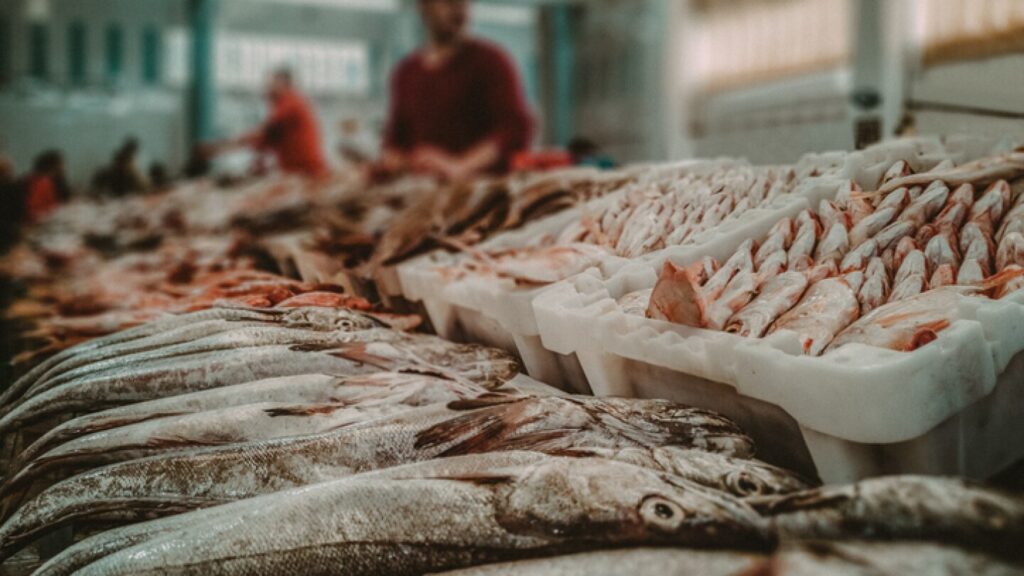 Llega el Mercado Itinerante de la Pesca Artesanal a La Costa