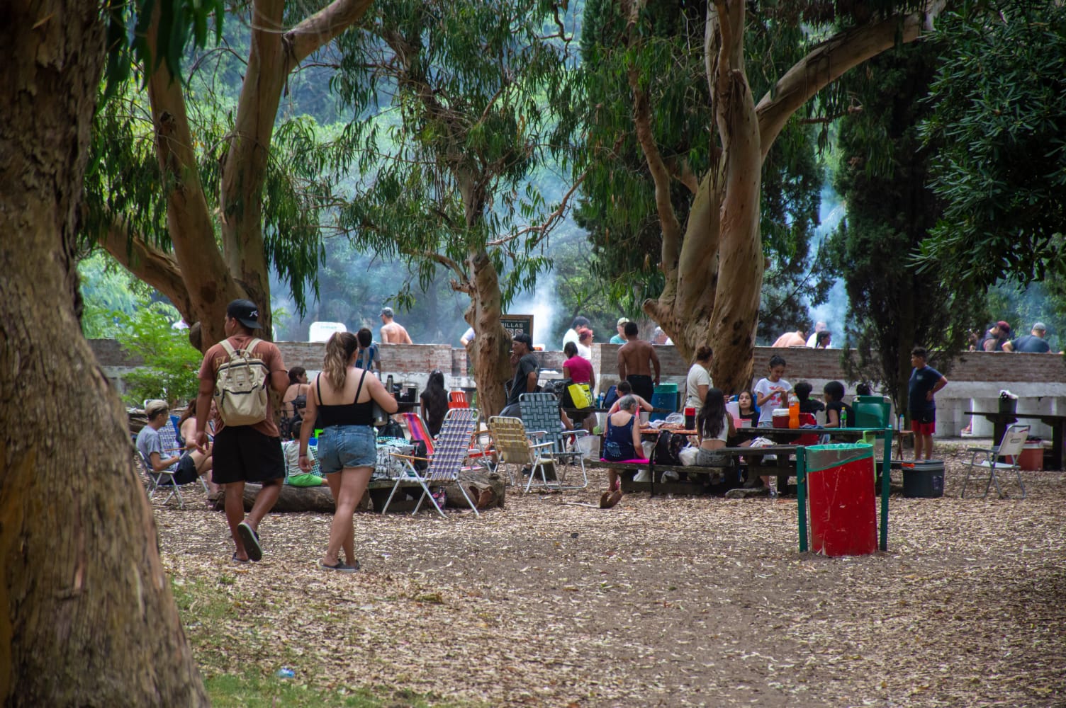 Continúa la puesta en valor de la Reserva Municipal Vivero Cosme Argerich Continúa la puesta en valor de la Reserva Municipal Vivero Cosme Argerich