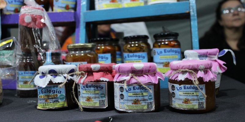 PUPAAs: una herramienta para formalizar la producción de alimentos elaborados en casa